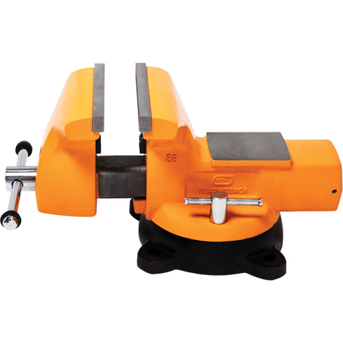 Mechanic's Bench Vise with Anvil, 8" Jaw Width Cantin et fils