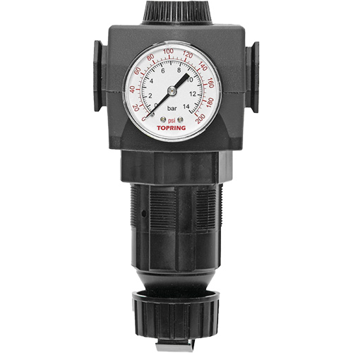 MODULAIR 400 Zinc Diaphragm Regulator, 1/2" NPT, 300 psi Max. PSI, In Line/Modular Cantin et fils