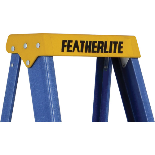 Escabeaux industriels (s&eacute;rie 6300), 4', Fibre de verre, Capacit&eacute; 250 lb, Type 1 Cantin et fils