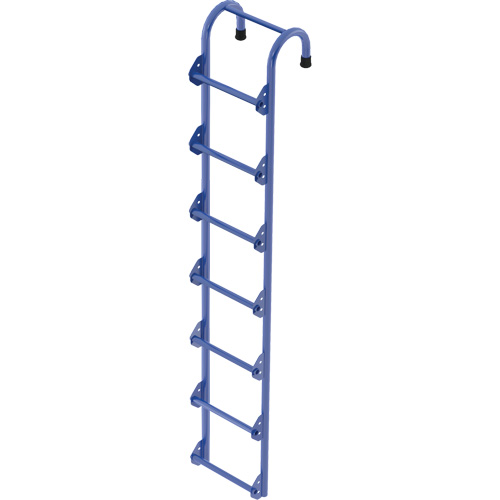 Tank Access Ladder Cantin et fils