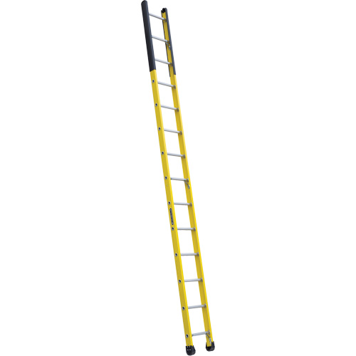 Single Manhole Ladder, 14', Fibreglass, 375 lbs., CSA Grade 1AA Cantin et fils
