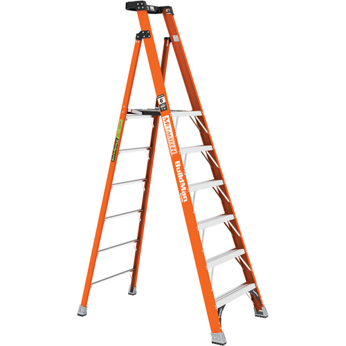 Safespace Platform Step Ladder, 6', 300 lbs. Cap. Cantin et fils