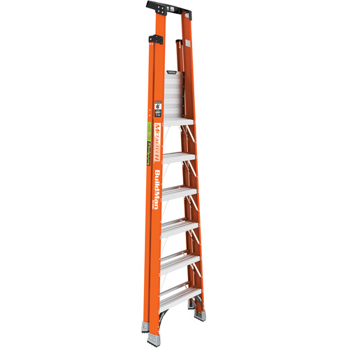Safespace Platform Step Ladder, 6', 300 lbs. Cap. Cantin et fils