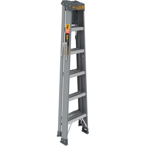 Step Ladder with Paint Tray, 6', Fibreglass, 225 lbs. Capacity, Type 2 Cantin et fils