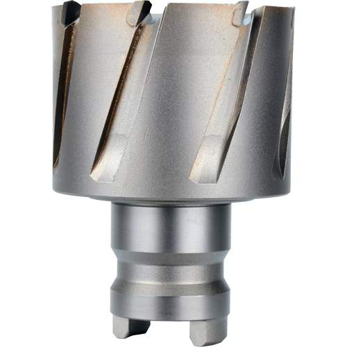 Quick Change Tang Drive Hawg&reg; Cutter, 2" Diameter, Steel, 1" Depth of Cut Cantin et fils