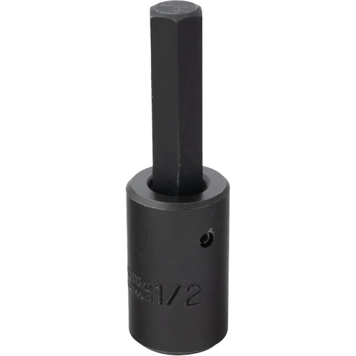 Socket Bit, Hex, 1/2" x 3-5/8" L, 1/2" Drive Cantin et fils