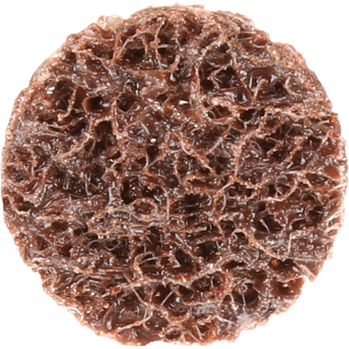 Standard Abrasives Quick-Change Surface Conditioning Disc, 3/4" Dia., Coarse Grit, Aluminum Oxide Cantin et fils