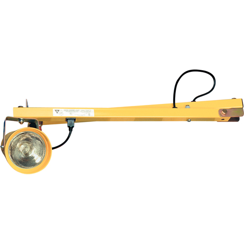 Dock Lights, 60" Arm, Incandescent Lamp, Metal Cantin et fils