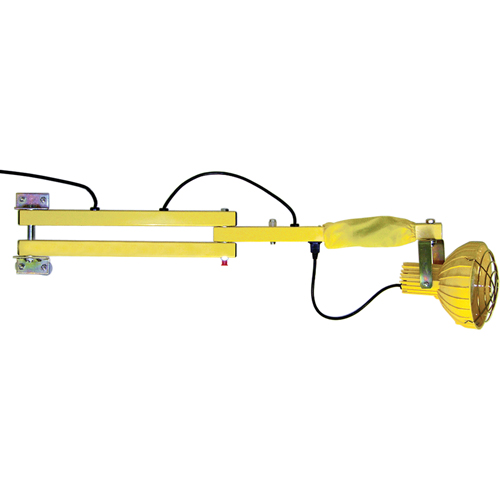 Dock Loading Lights with Flexible Arm, Incandescent Light, 60" Arm Cantin et fils