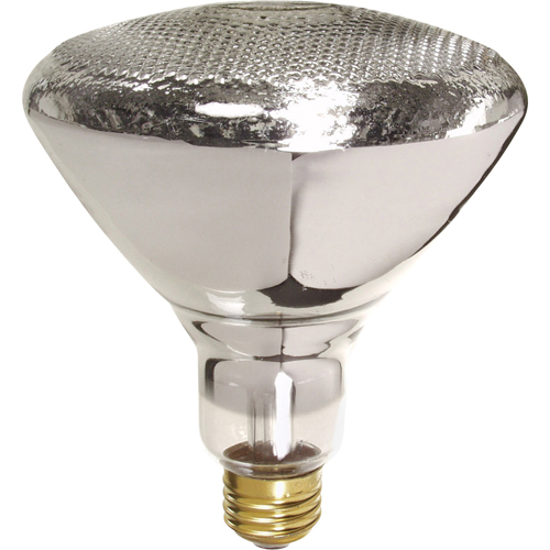 Economy Line Incandescent Lamps Cantin et fils