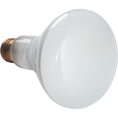 Economy Line Incandescent Lamps Cantin et fils