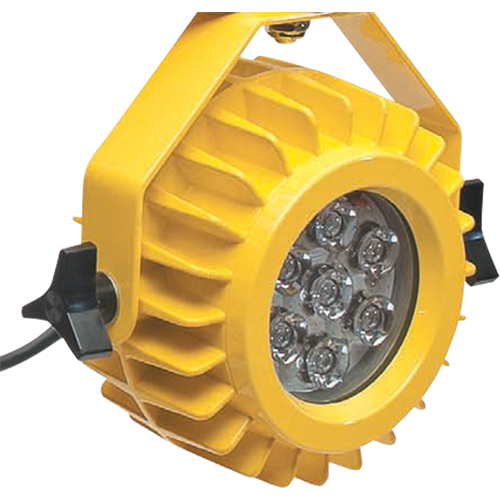 Heavy-Duty LED Dock Light - Head Only Cantin et fils