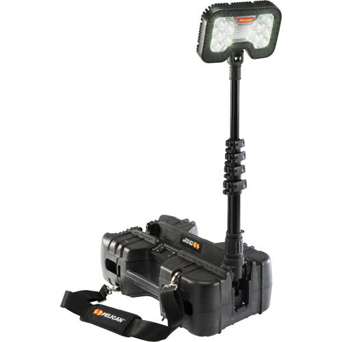 9490 Remote Area Lighting Systems, LED, 53.3 W, 6000 Lumens, Plastic Housing Cantin et fils
