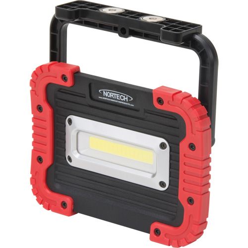 Portable Work Light, LED, 10 W, 1000 Lumens, Plastic Housing Cantin et fils