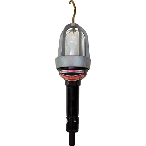 Baladeuses pour emplacements dangereux Cantin et fils