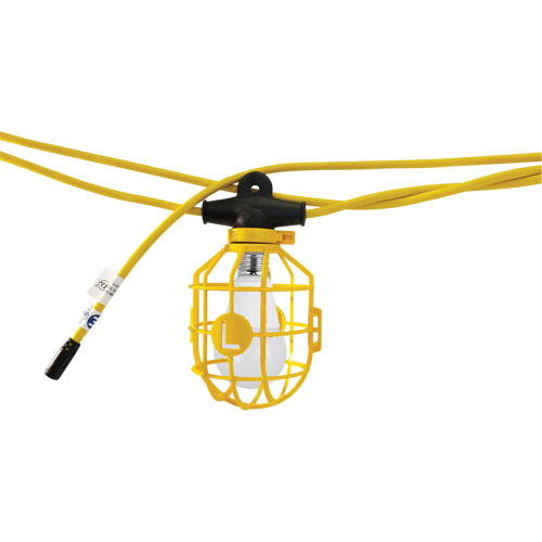 Chaînes de lumi&egrave;res DEL, 10 Lumi&egrave;res, 1200" lo, Boîtier en Plastique Cantin et fils