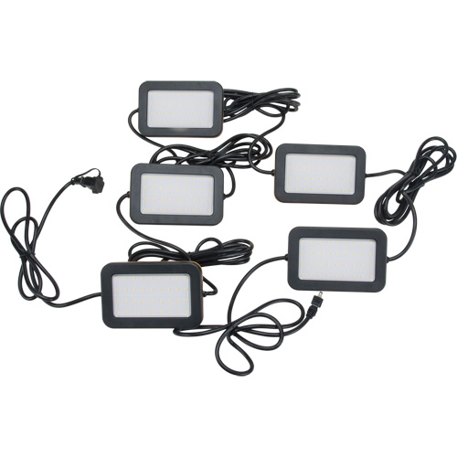 LED String Work Lights, 5 Lights, 50' L, Plastic Housing Cantin et fils