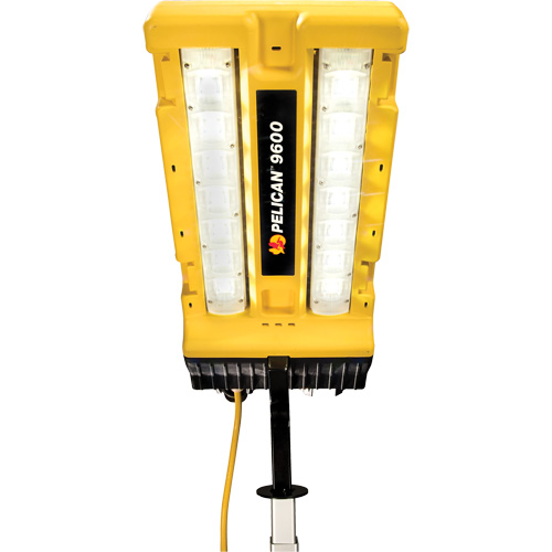 Syst&egrave;me avec t&ecirc;te d'&eacute;clairage modulaire et support, DEL, 24 W, 3000 lumens, Boîtier en Aluminium Cantin et fils