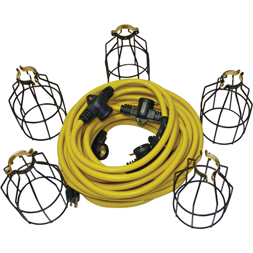 LED String Lights with Connector, 5 Lights, 50' L, Metal Housing Cantin et fils