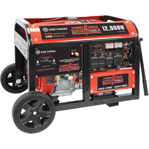 Gasoline/Propane Generator with Electric Start Cantin et fils