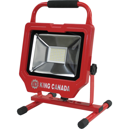 Work Light, LED, 36 W, 4000 Lumens, Aluminum Housing Cantin et fils