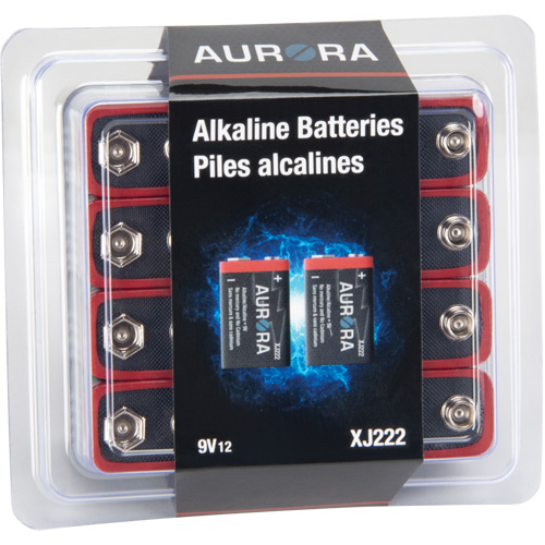 Industrial Alkaline Batteries, 9 V Cantin et fils