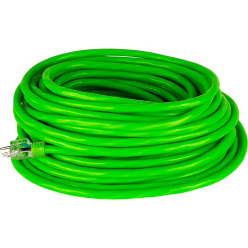 Industrial Extension Cord, All-Weather, SJTW, 10/3 AWG, 15 A, 50' Cantin et fils