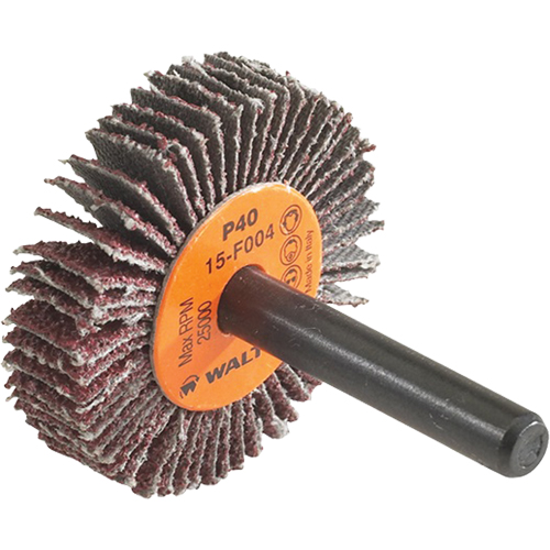 Disque &agrave; lamelles Coolcut, Oxyde d'aluminium, Grain 60, 1-1/2" x 3/8" x 1/4" Cantin et fils