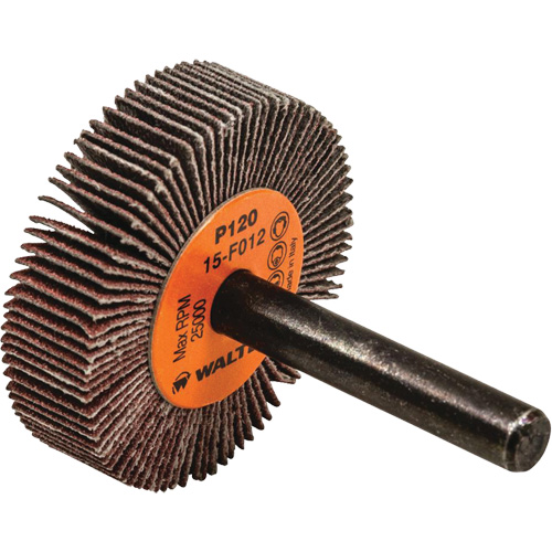 Disque &agrave; lamelles Coolcut, Oxyde d'aluminium, Grain 120, 1-1/2" x 3/8" x 1/4" Cantin et fils