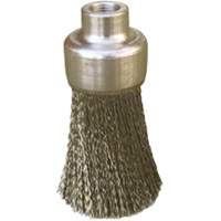 Brosses plates, rondes ou Roto Cantin et fils