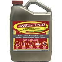 Agent antirouille super s&eacute;curitaire Evapo-Rust, Cruche Cantin et fils