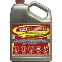 Evapo-Rust&reg; Super Safe Rust Remover, Jug Cantin et fils