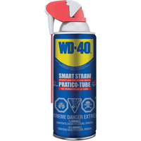 Multi-use Lubricant with Smart Straw, Aerosol Can, 325 g Cantin et fils