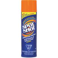 D&eacute;tachant instantan&eacute; et professionnel pour tapis Spot Shot, 496 g, Canette a&eacute;rosol Cantin et fils