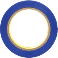 Polyester Tape 8901, 25.4 mm (1") x 66 m (216'), Blue Cantin et fils