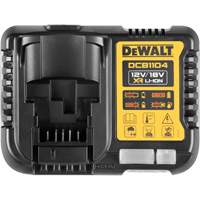 Battery Charger, 20 V, Lithium-Ion Cantin et fils