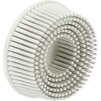 Disques &agrave; soies Roloc Scotch-Brite, Grain 120, 2" dia. Cantin et fils