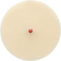 Scotch-Brite Moulding Adhesive and Stripe Removal Disc 7502, 6" Dia. Cantin et fils