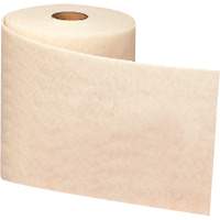 Ruban de nettoyage et de finition Scotch-Brite, Tr&egrave;s fin, Oxyde d'aluminium, 4" la x 30' lo Cantin et fils