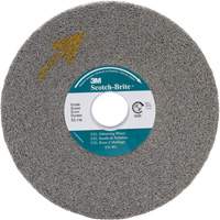Meule d'&eacute;barbage EXL Scotch-Brite, 8" x 1", Arbre de 3" Cantin et fils