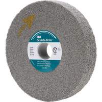 Meule d'&eacute;barbage EXL Scotch-Brite, 8" x 1", Arbre de 3" Cantin et fils