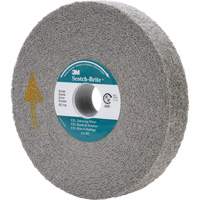 Meule d'&eacute;barbage EXL Scotch-Brite, 6" x 1", Arbre de 1" Cantin et fils