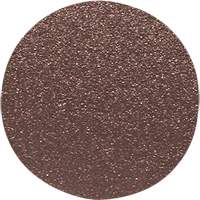 Disque de ponçage pour le bois, 12" dia., Grain 60 Cantin et fils