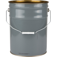 Lined Pail, Steel, 20 L Cantin et fils