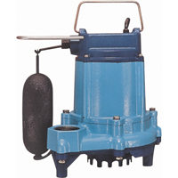 Pompes submersibles/pour effluents, 53 gal./h, 115 V, 5 A, 1/3 CV Cantin et fils