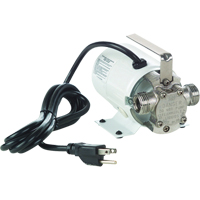 Non-Submersible, Self-Priming Plated Brass Transfer Pumps - Pump Only, 115 V, 360 GPH, 1/10 HP Cantin et fils