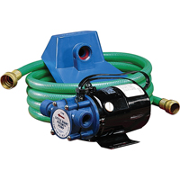 Non-Submersible, Self-Priming Plated Brass Transfer Pumps, 115 V, 360 GPH, 1/10 HP Cantin et fils