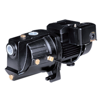 Pompe &agrave; jet en fonte &agrave; double tension pour puit peu profond, 230 V, 710 gal./h, 1/2 CV Cantin et fils