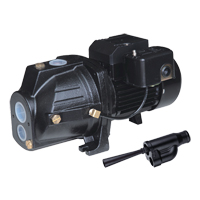 Pompe &agrave; jet en fonte &agrave; double tension transformable, 230 V, 920 gal./h, 1 CV Cantin et fils