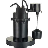 Pompe de puisard submersible thermoplastique, 2560 gal./h, 115 V, 4,6 A, 1/3 CV Cantin et fils